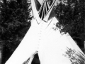 1949 Seniors Tipi